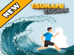 Wave Escape Puzzle Adventure - Ludoryx free online game